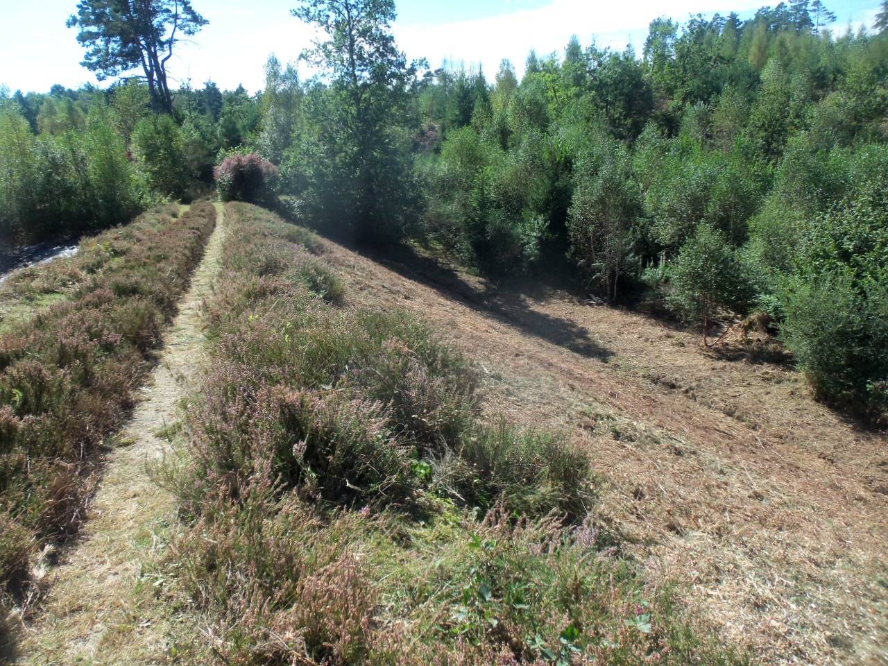 Bord d’étang après nettoyage sur le plateau de Millevaches