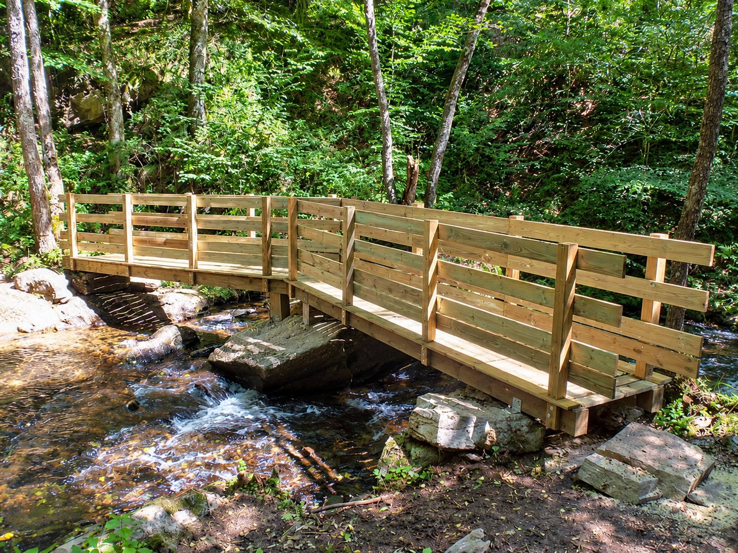 Passerelle en bois sur un sentier