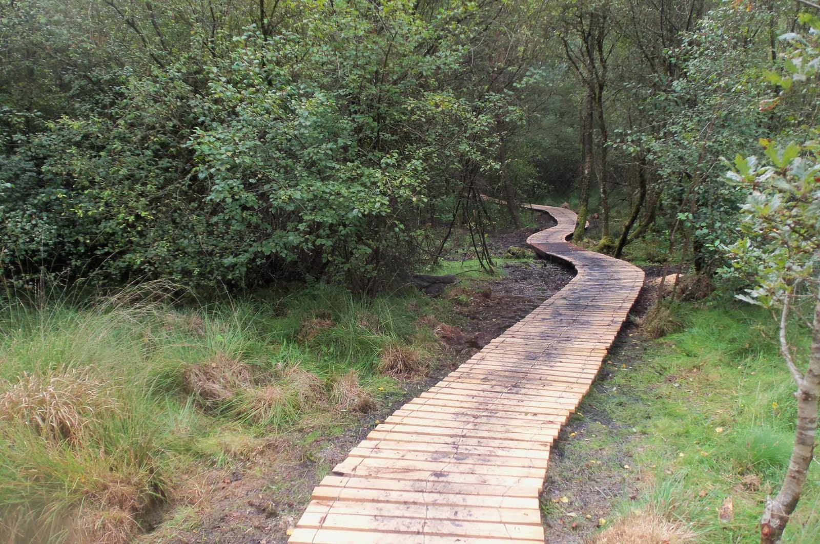 Réalisation d’Arcadour en pierre sèche